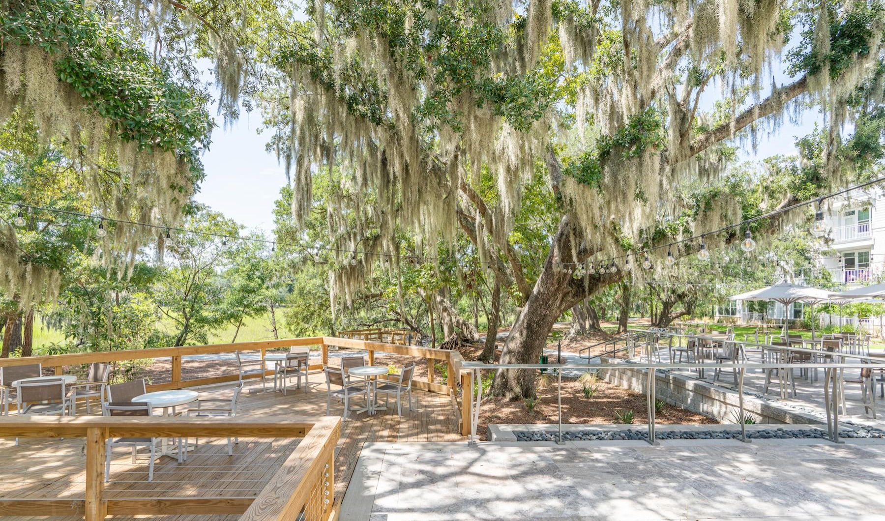 Courtyard with walking trails and trees