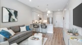 bright living room open to kitchen