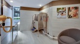 bright room with pet wash station