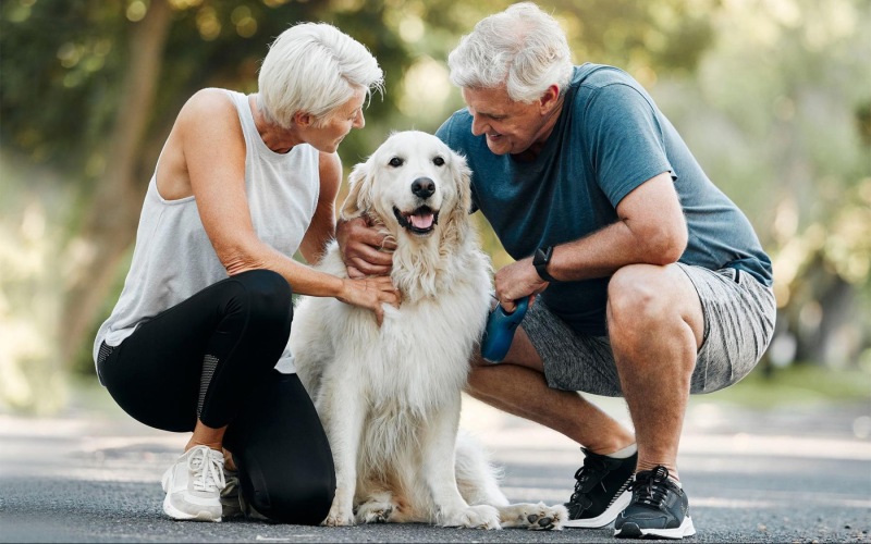 a man and woman petting a dog