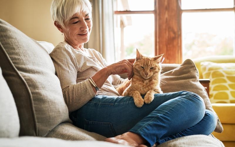 Woman sitting in a well lit living room with her cat