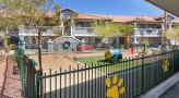 fenced-in dog park