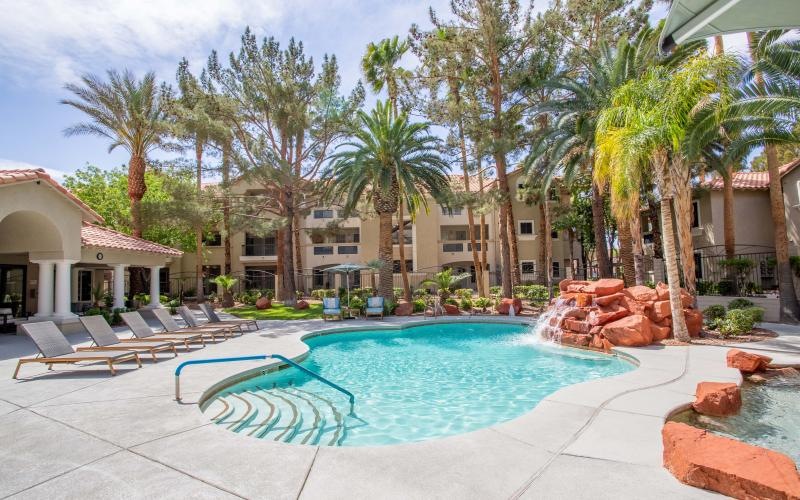 swimming pool with palm trees around it