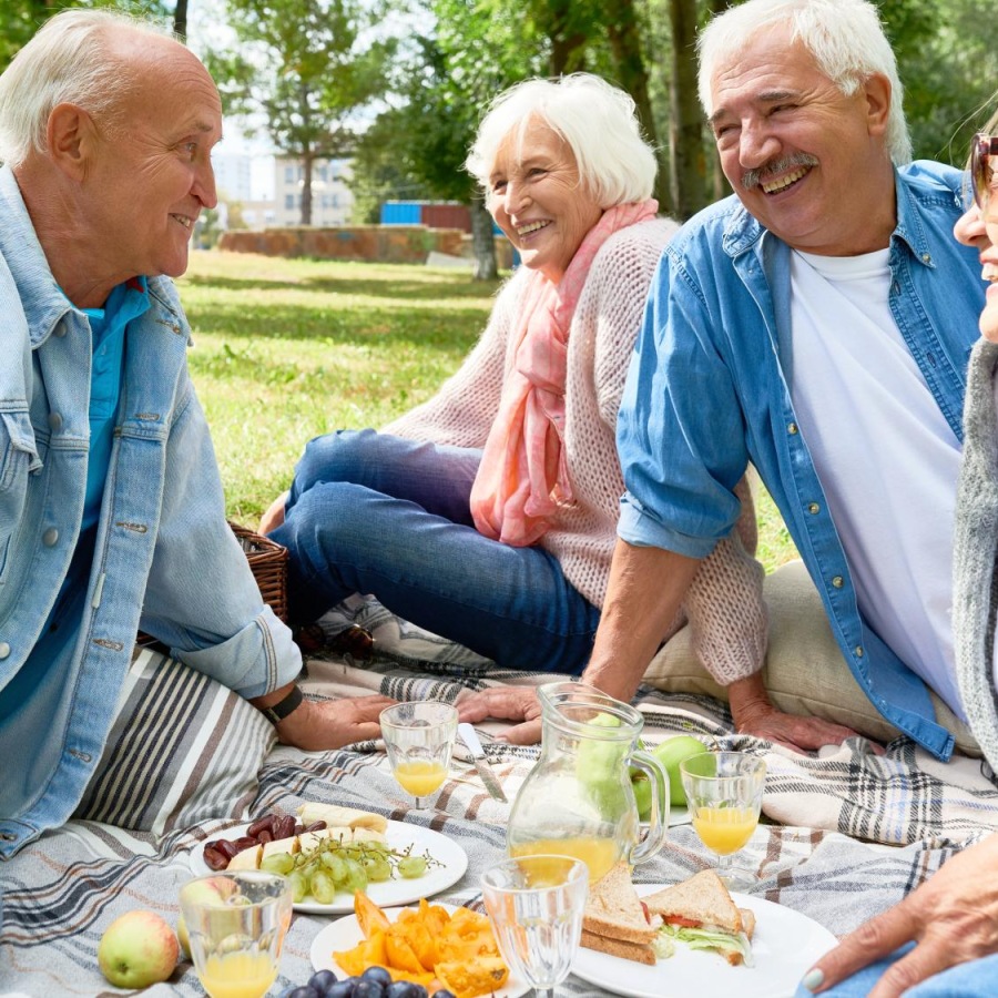 Lifestyle Group of people sitting on a blanket at the park talking