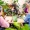 a group of people sitting around a table with plants