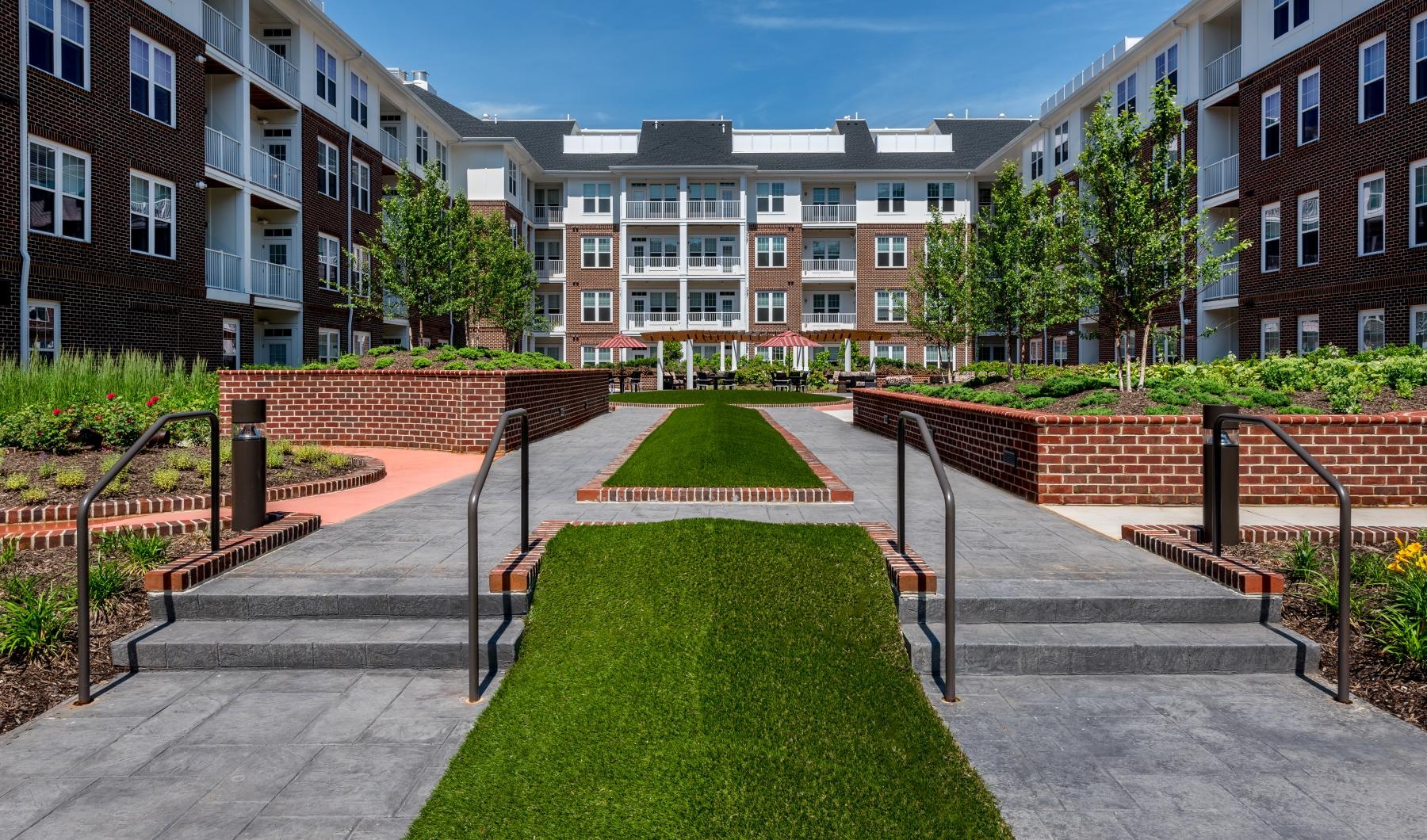 Your Time to Thrive a courtyard with pergola