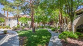 outdoor area with trees and a sidewalk