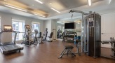 Large fitness center with large windows and plenty of equipment