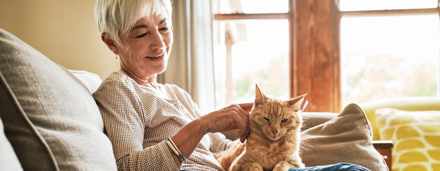 a woman sitting on the couch with a cat