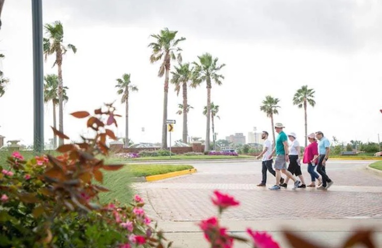 A group of active senior adults walk outside with palm trees in the distance.