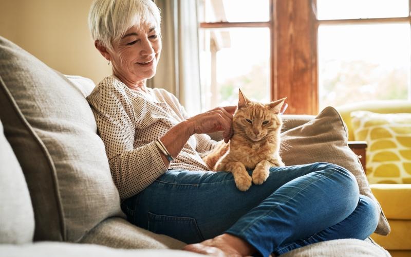 Woman sitting on her couch with her cat 