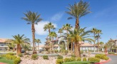 fountain in a flower bed with palm trees