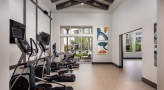 Large fitness center with large windows and plenty of equipment