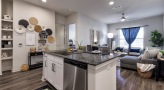 Guest Suite Kitchen