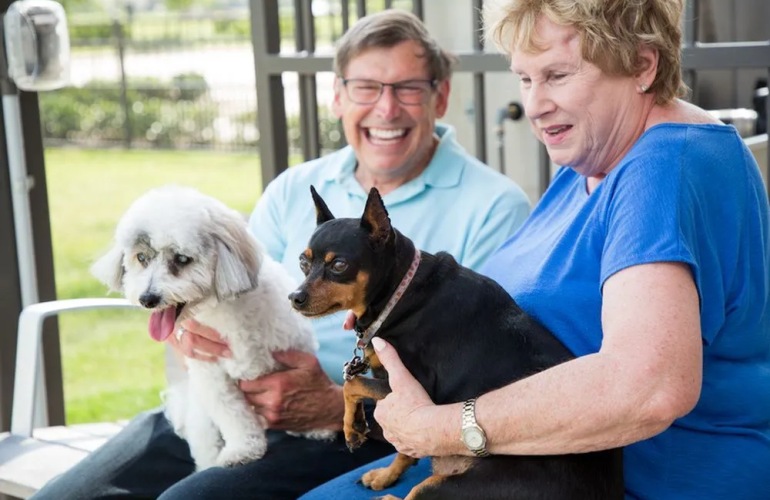 A pair of senior adults hold their dogs in their laps while sitting at a dog park.