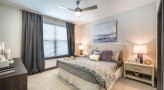 Large well lit bedroom with carpeted floors and a large window 