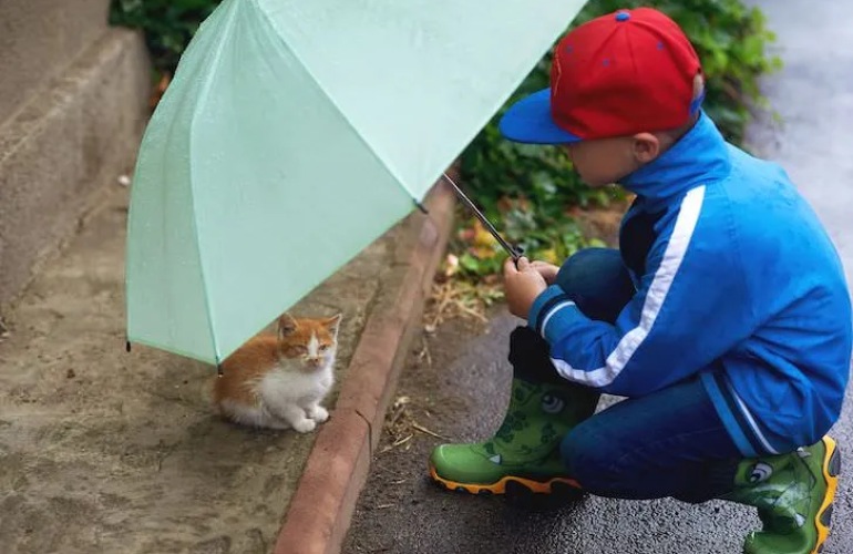 A little boy holds an umbrella over a kitten on the sidewalk.