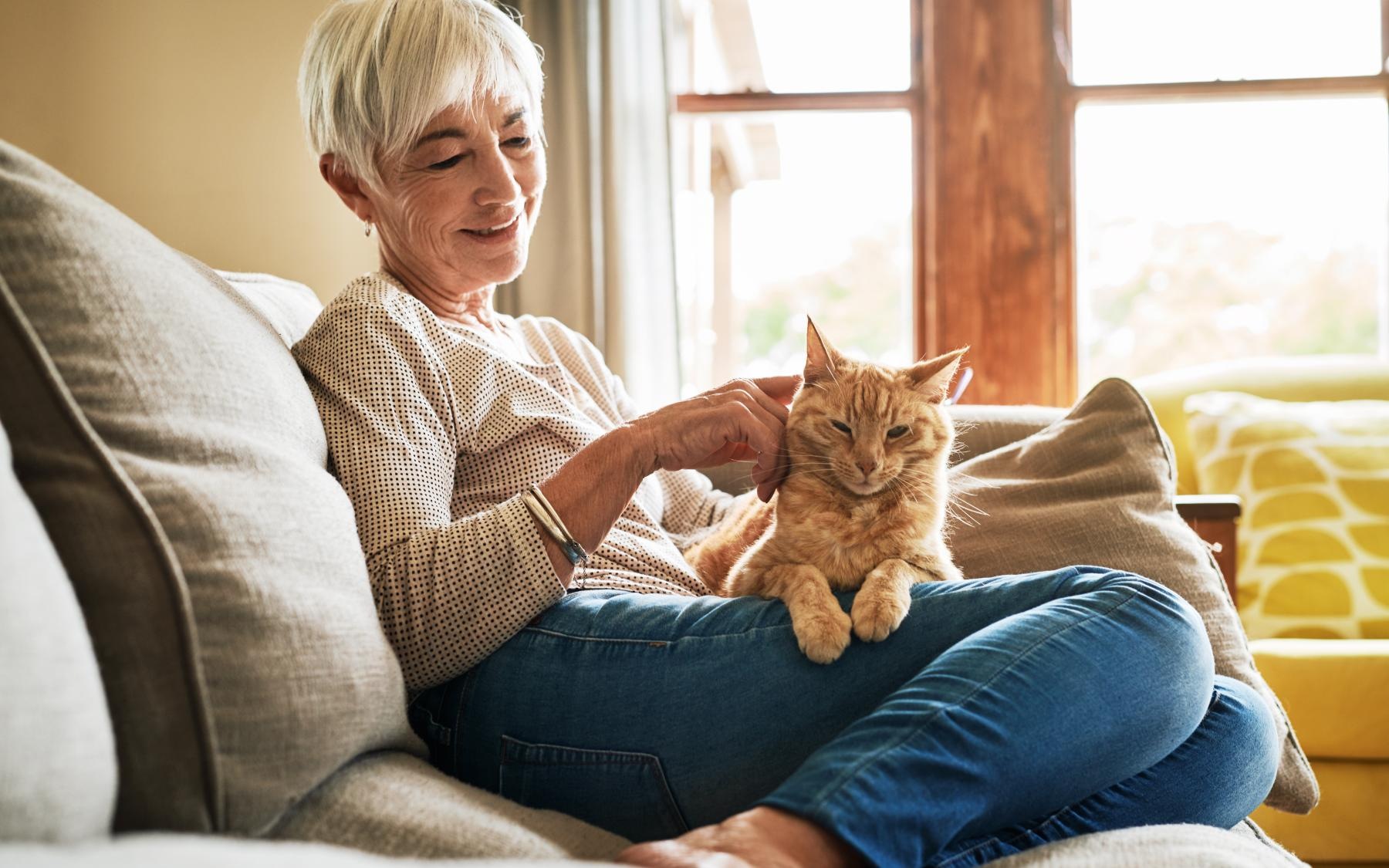 We love our furry friends! a woman sitting on the couch with a cat in her lap