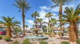 fountain in a flower bed with palm trees