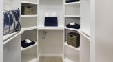 carpeted, walk-in closet with shelving and light