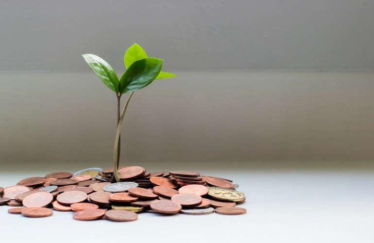 Plant sprouting in the middle of a pile of coins.