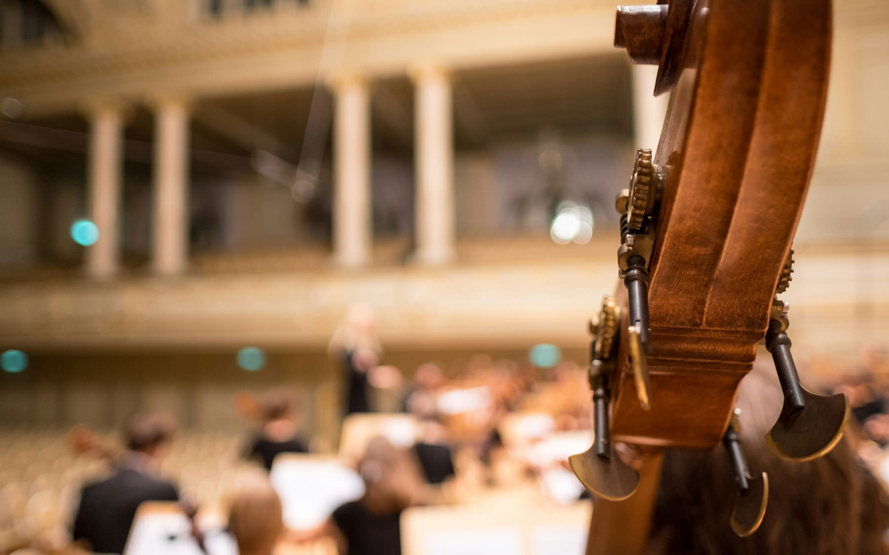 stringed instrument against the backdrop of an orchestra hall