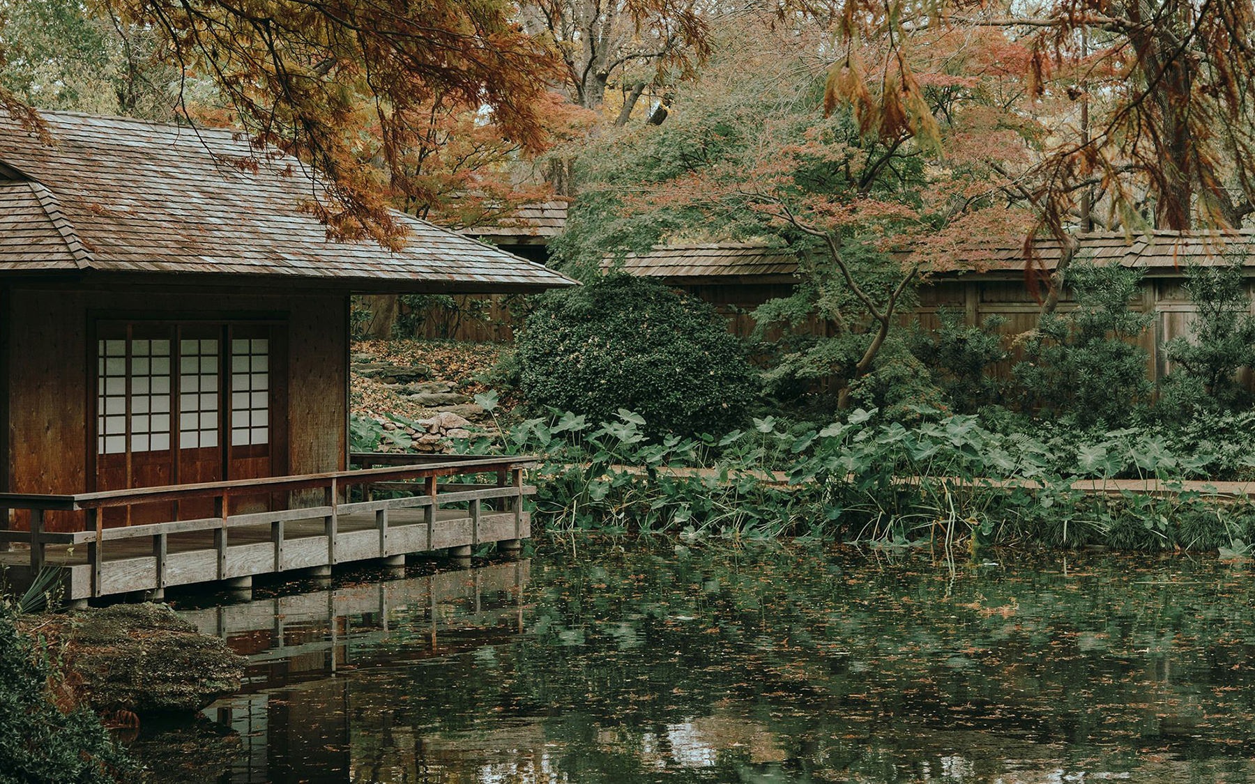 outdoor cabin on the water surrounded by trees