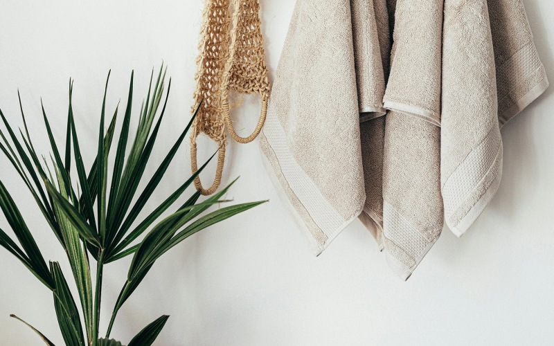 Nearby Activities & Attractions towel handing on a wall next to a green plant