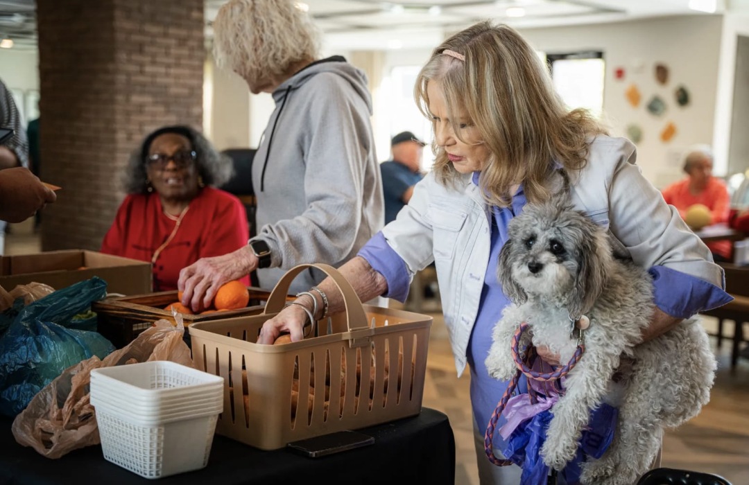 a woman with a dog reaching for a basket
