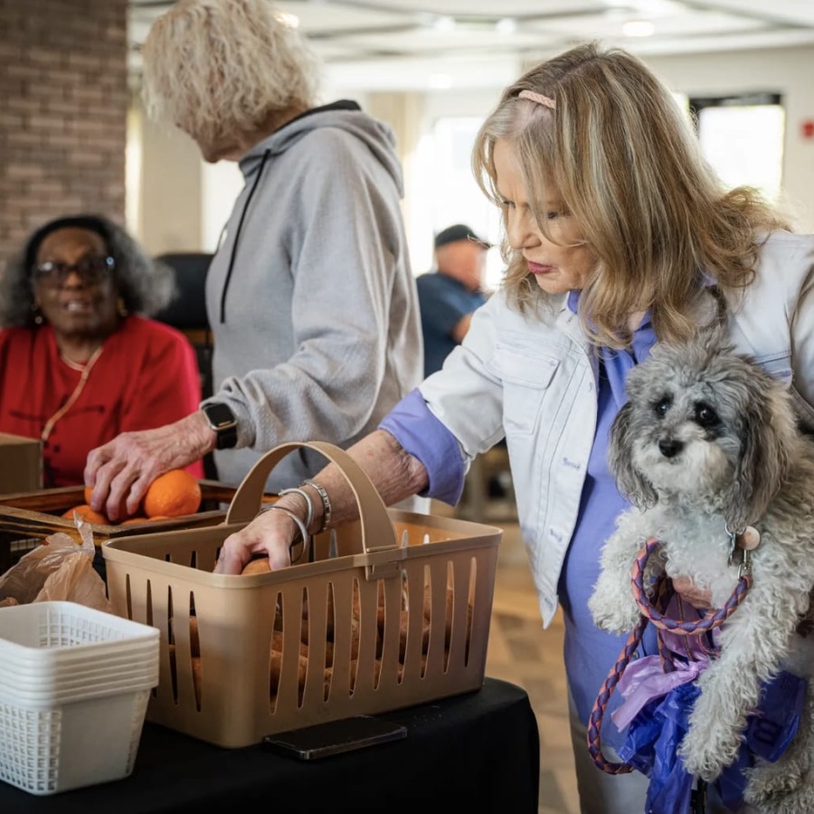 a woman with a dog reaching for a basket