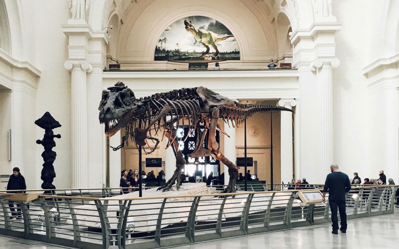 wide shot of people enjoying the attractions at a science musem