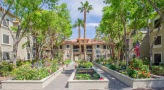 community garden in a courtyard